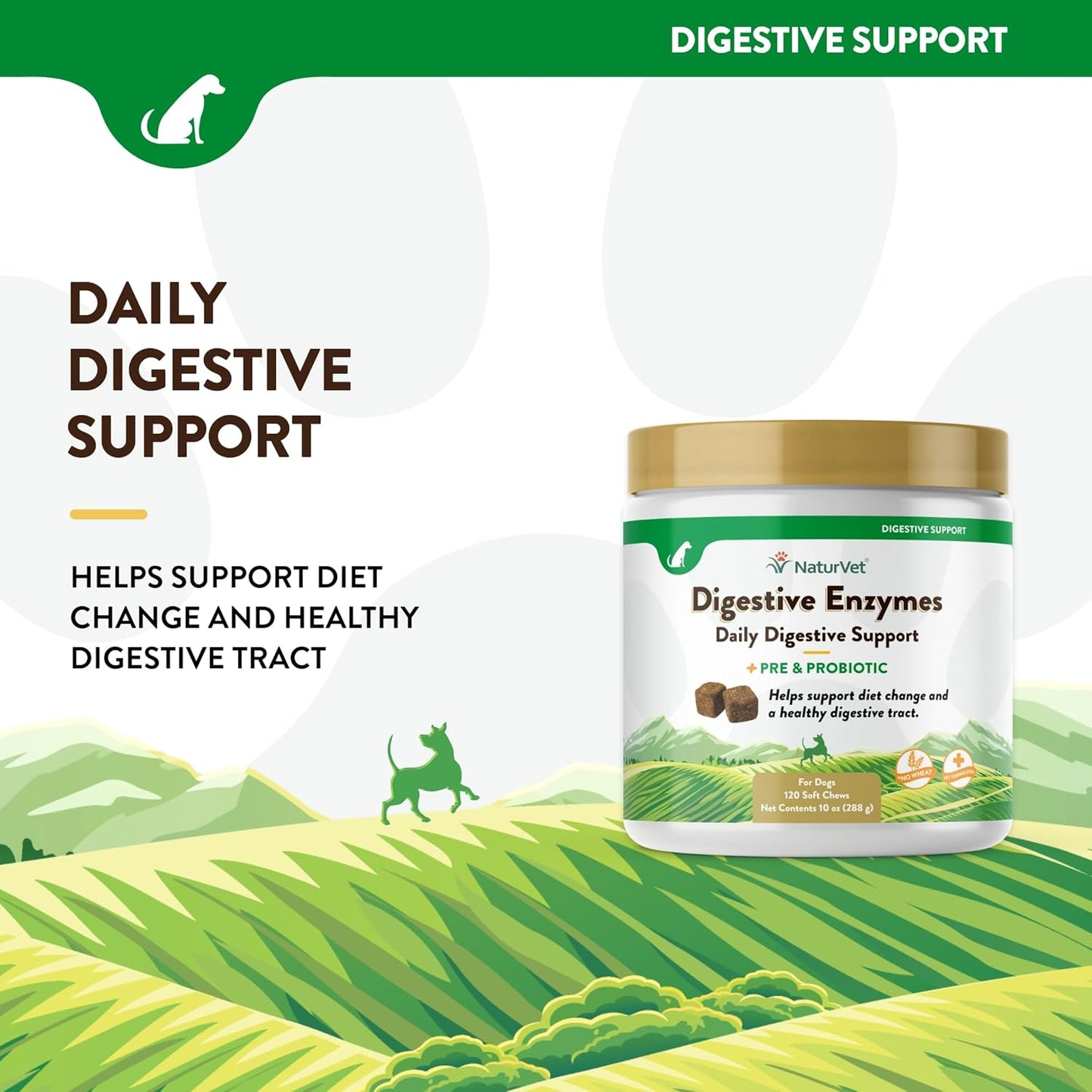 NaturVet Digestive Enzymes Plus Probiotic for Dogs, 120 ct Soft Chews, Made in USA