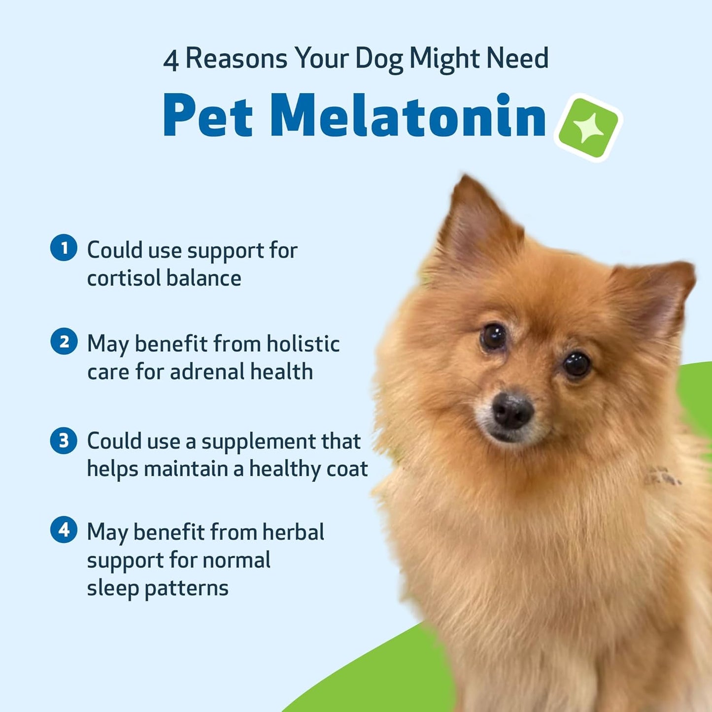 Melatonin for Dogs & Cats – Calm, Relaxation & Better Sleep (2-Pack)