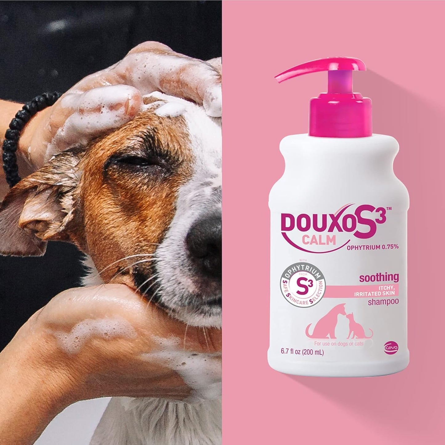 DOUXO® S3 Calm Combo Set | DOUXO S3 Calm Shampoo (6.7oz) & DOUXO® S3 Calm Mousse (5.1 oz)