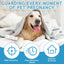 Dog Pregnancy Test Kit – Quick & Easy Detection Strips for Dogs & Cats