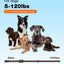 Bousnic Dog Shock Collar - 3300Ft Dog Training Collar with Remote for 5-120lbs Small Medium Large Dogs Rechargeable Waterproof e Collar with Beep (1-8), Vibration(1-16), Safe Shock(1-99) (Orange)