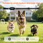 Anti Bark Collars With Remote for Dogs Anti Barking Device Vibration Beep Modes Dog Training Collar, Rechargeable IP67 Waterproof Remote Range Over 2000ft for All Dog (Black)