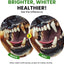 Dog Breath Freshener – Enzymatic Dog Dental Water Additive for Teeth Claning,16oz