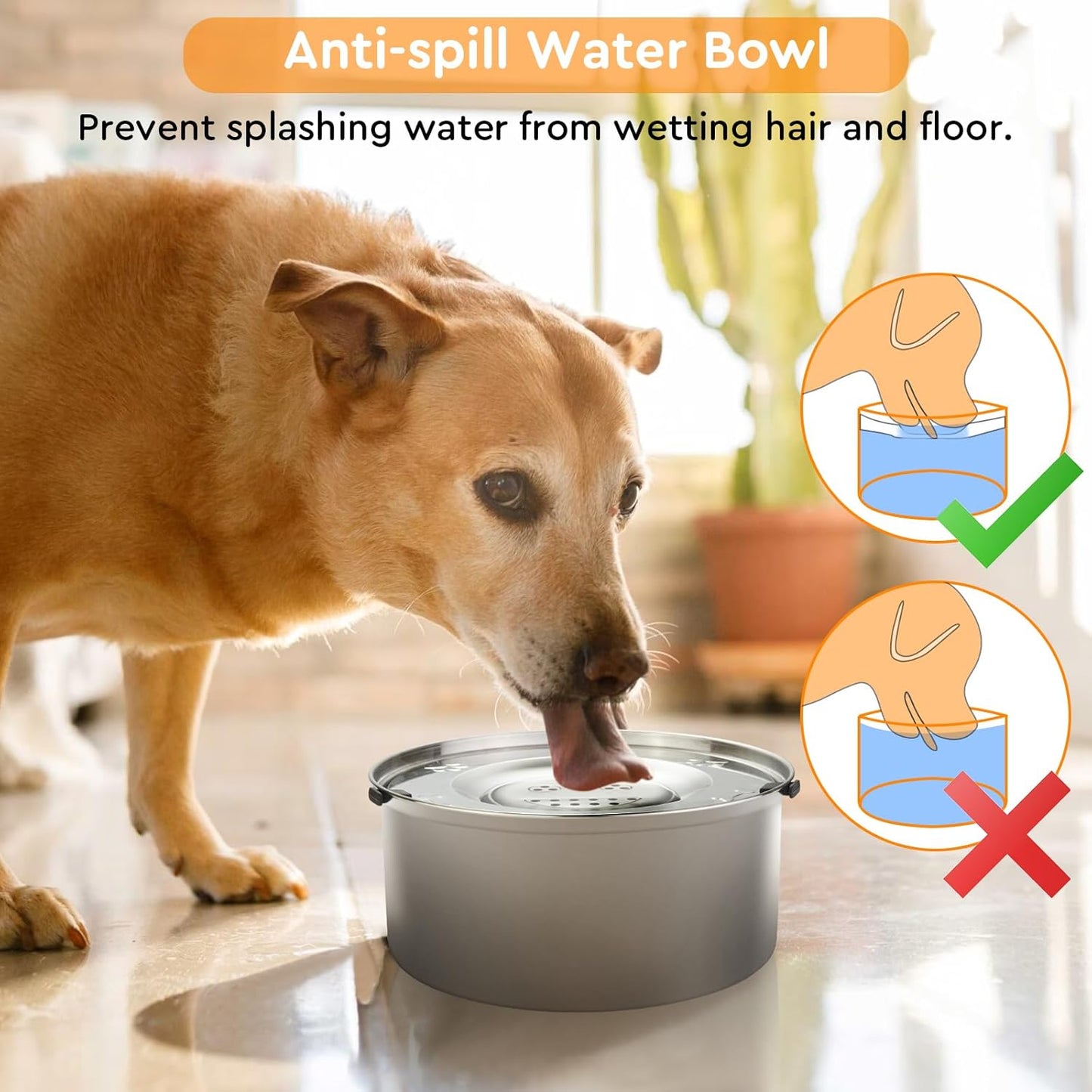 No Spill Dog Water Bowl