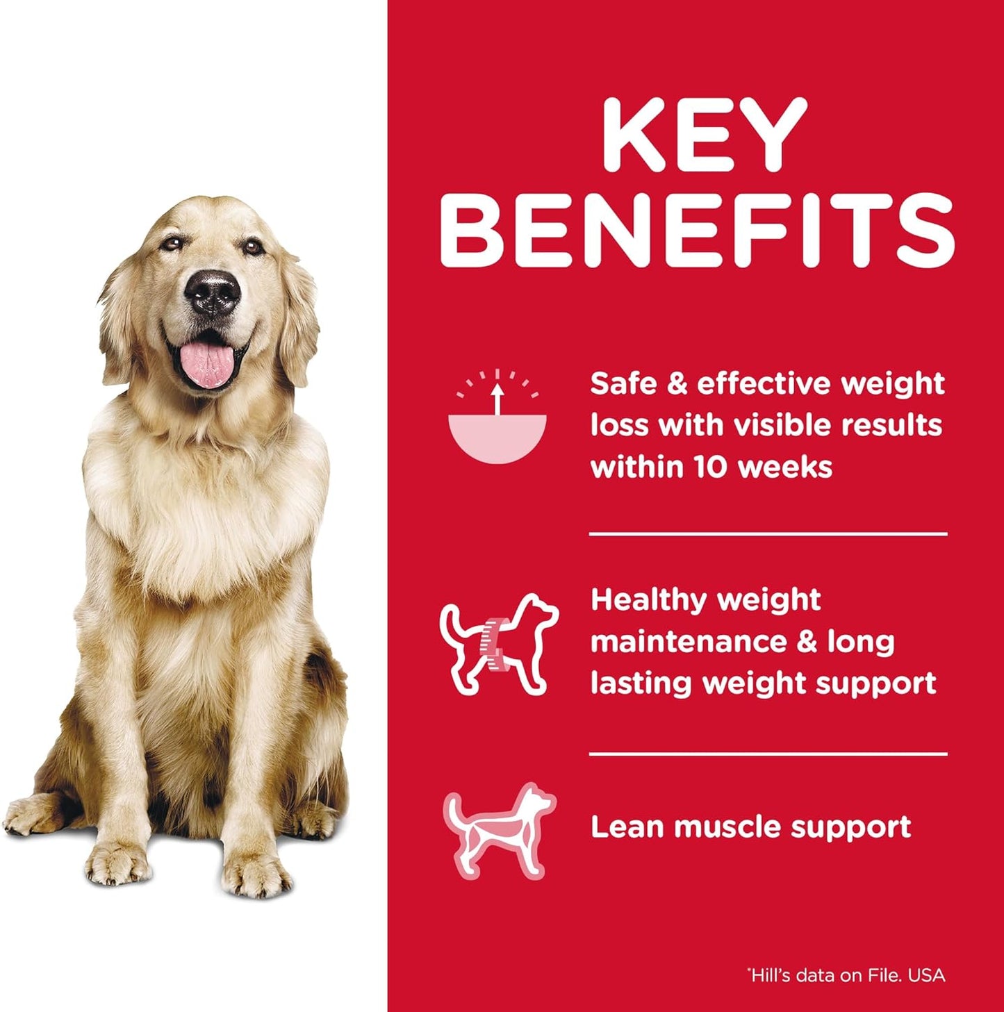 Hill's Science Diet Adult Perfect Weight with Chicken & Vegetables Wet Dog Food, 363g Cans, 12 Pack