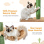 PAWZ Road Cactus Cat Tree Four Tier Floor-to-Ceiling Cat Climbing Tower with Cozy Hammock, Cat Activity Center 9 Feet Green
