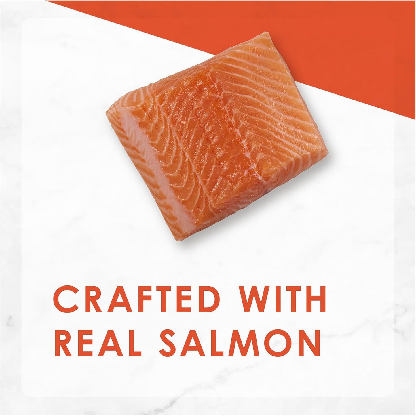 FANCY FEAST Adult Savoury Salmon Pate Wet Cat Food 24x85g