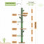 PAWZ Road Cactus Cat Tree Four Tier Floor-to-Ceiling Cat Climbing Tower with Cozy Hammock, Cat Activity Center 9 Feet Green
