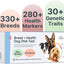 Basepaws Dog DNA Testing Kit - 300+ Breeds, 280+ Health Risks, and 30+ Traits - Comprehensive Mixed Breed Identification, Pet DNA Test kit, Canine Genetic Ancestry and Heritage