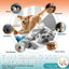 Dog Calming Pheromones Diffuser to Calm Pet 7 In 1 Advanced Kit (Tasteless)