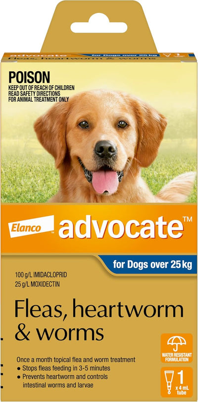 Advocate Dog, Monthly Spot-On Protection from Fleas, Heartworm and Worms, Single Pack Flea Treatment for XL Dogs Over 25 kg, 1 Pack