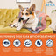 Apex Plus Flea and Tick Prevention for Dogs | Small (5-22 lbs) | 6-Month Supply | Dog Flea and Tick Treatment
