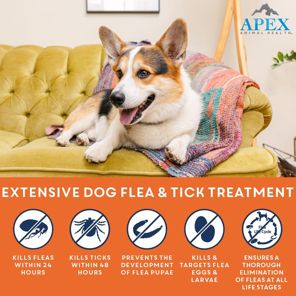 Apex Plus Flea and Tick Prevention for Dogs | Small (5-22 lbs) | 6-Month Supply | Dog Flea and Tick Treatment