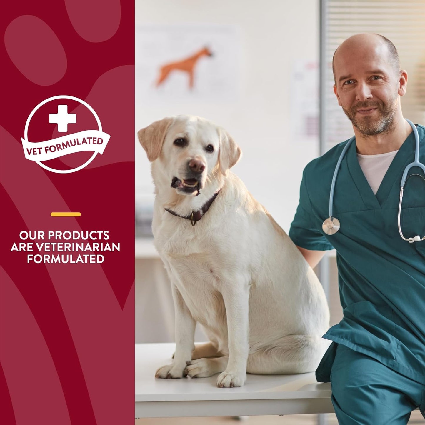 NaturVet Senior Dog Bladder Support Tablets, 60 Pills