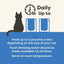 Applaws 100% Natural Wet Cat Food Tuna Fillet with Salmon in Broth, Limited Ingredients Pet Food 70g Pouch (Pack of 16)