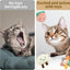 Catnip Toys for Indoor Cats - Cute Chew Toys for Teething, 3Pcs Bite Resistant Toy With Catnip
