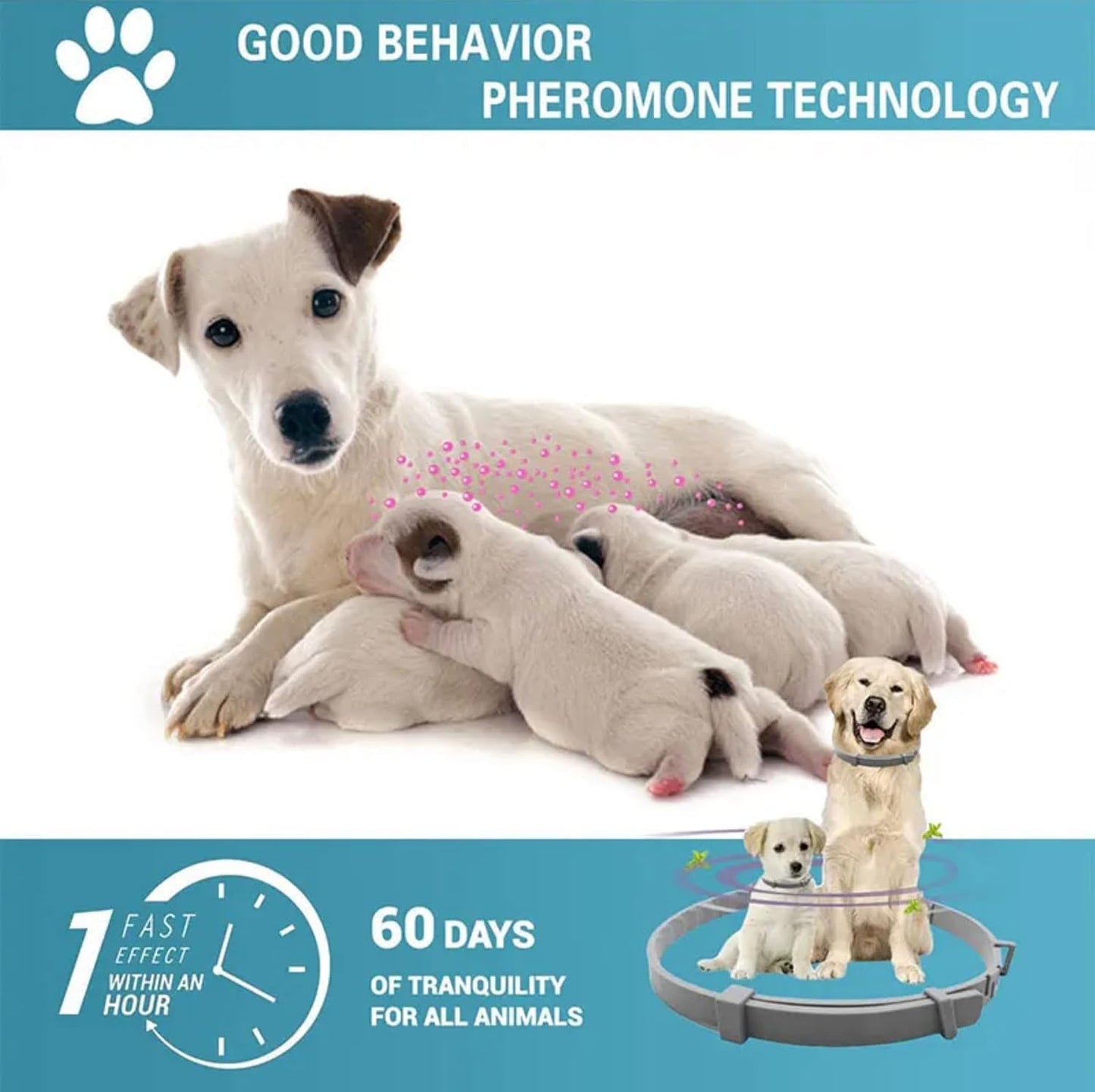 Calming Collars for Dog, 4 Packs, Dog Pheromone Calm Collars Help Dogs Calm Down, Size 24.5 inch Color Gray