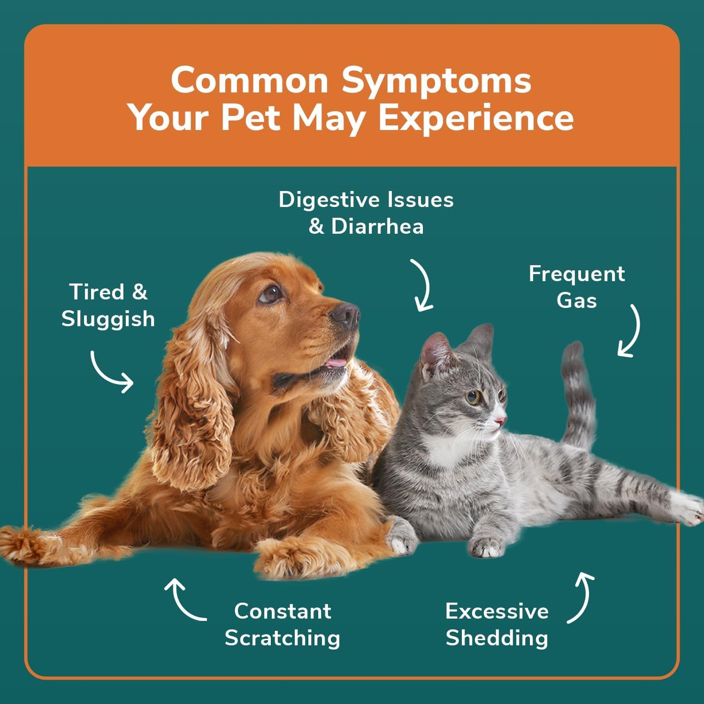 TotalVet Dog Allergy +1000 Food & Nutritional Sensitivity Test, Pet Intolerance Kit at Home