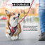 Premium Dog Harness Set with Leash, Collar & Poop Bag Holder - Reflective-small
