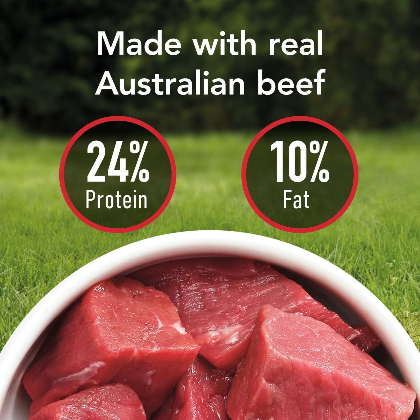 Purina Supercoat Adult Beef Dry Dog Food 2.8 Kg