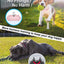No Shock Dog Training Collar with Remote, Dog Vibration Collar with Controller Beep and Vibrate Only, Safe Lock Waterproof Rechargeable Vibrating Collars for Dogs(10-120 lbs)-No Prongs (Pink)