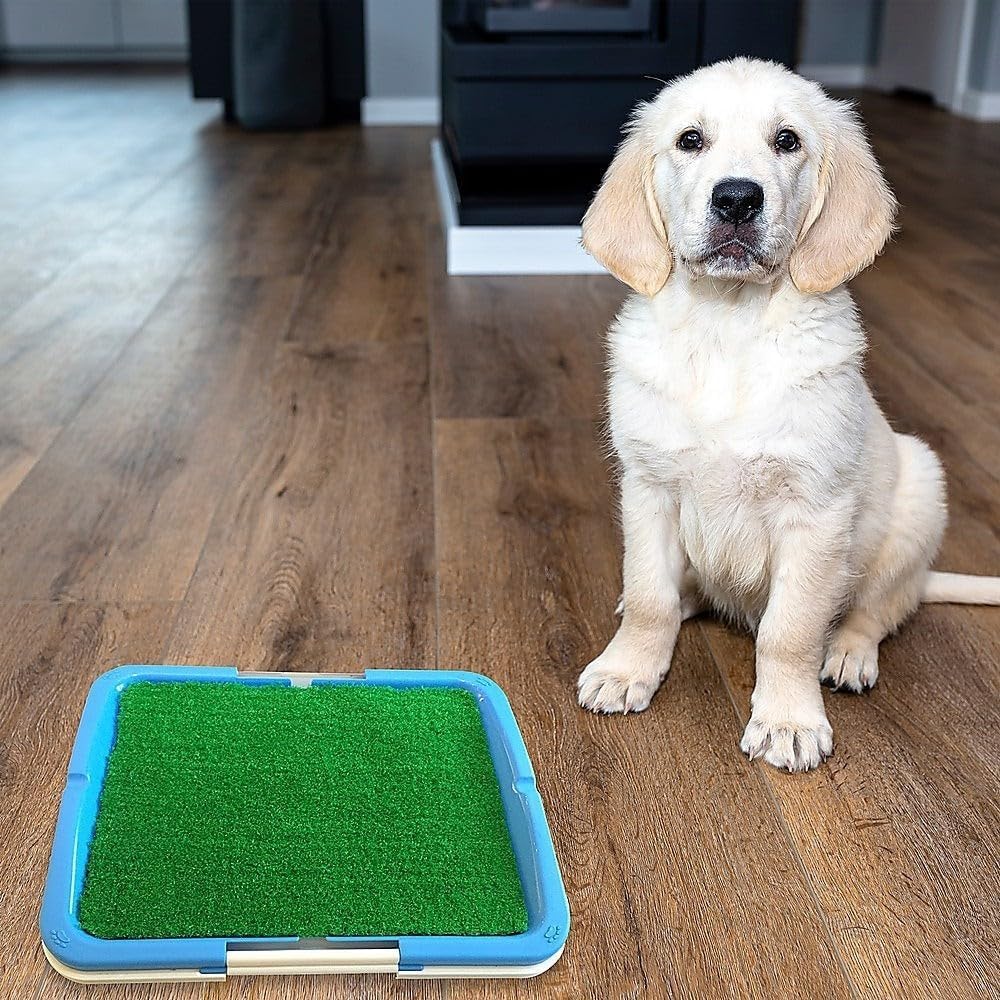 Portable Indoor Dog Puppy Pet Toilet - Artificial Grass Training Pad