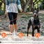 Dog Training Collar with Remote, with Auto-Brake Dog Training Leash,1600FT IP67