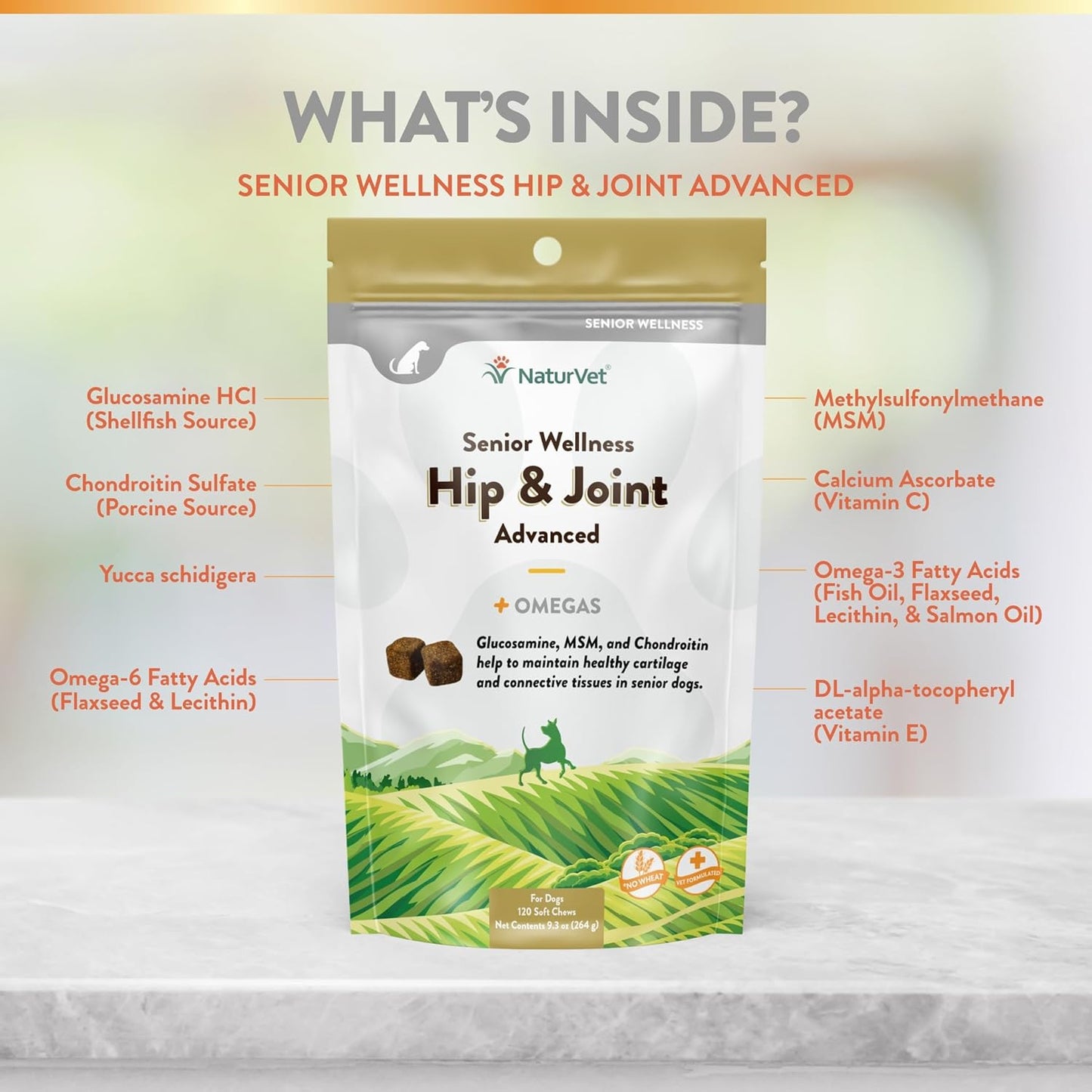 NaturVet Senior Wellness Hip & Joint Advanced Plus Omegas for Dogs, 120 ct Soft Chews, Made in USA