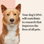 Wisdom Panel Premium: Most Comprehensive Dog DNA Test for 260+ Health Tests |