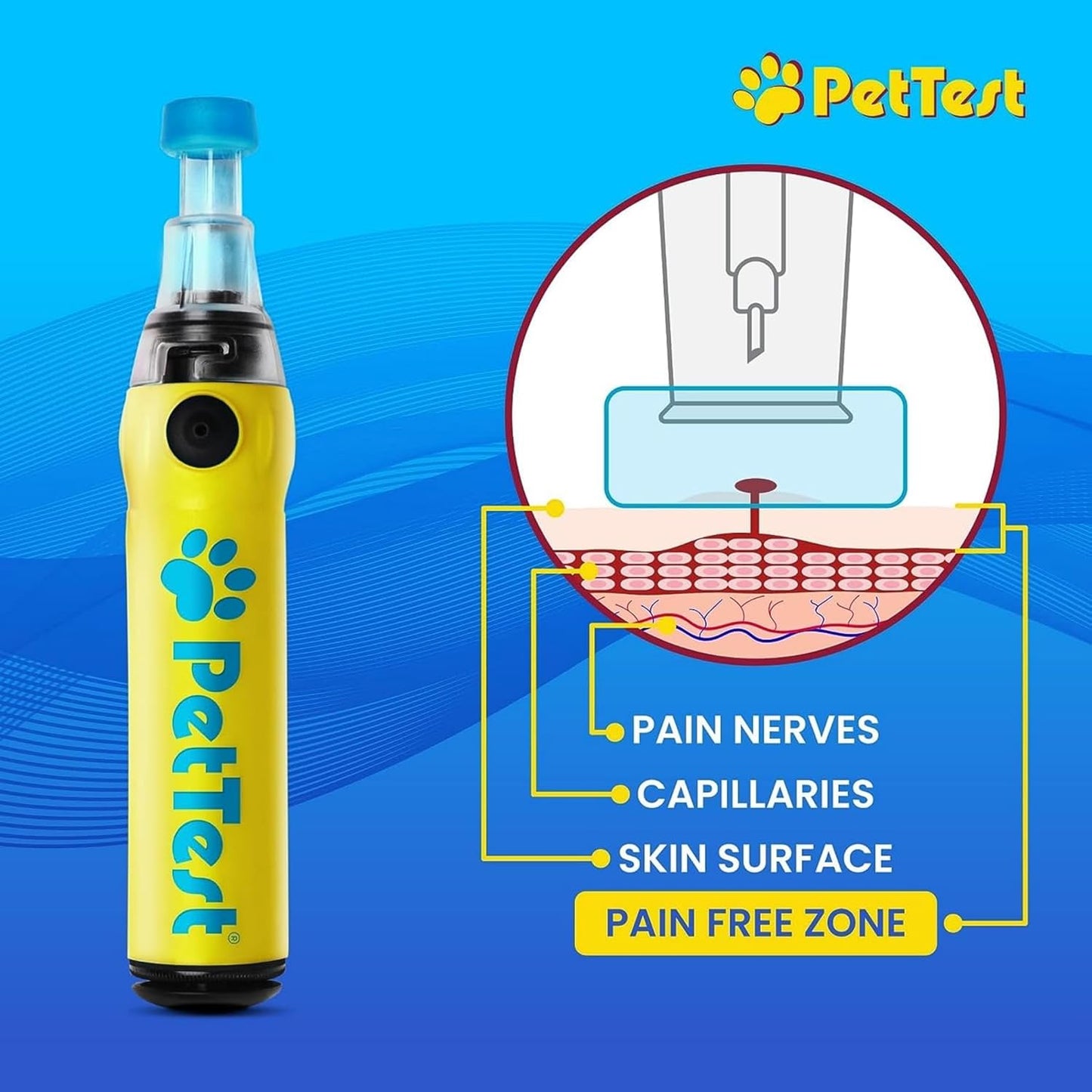 PetTest Painless Glucose Monitoring Kit for Dogs & Cats, Diabetic Pet Blood Sugar Check Gear, Includes Wireless PetLink+ Meter, 50 Test Strips