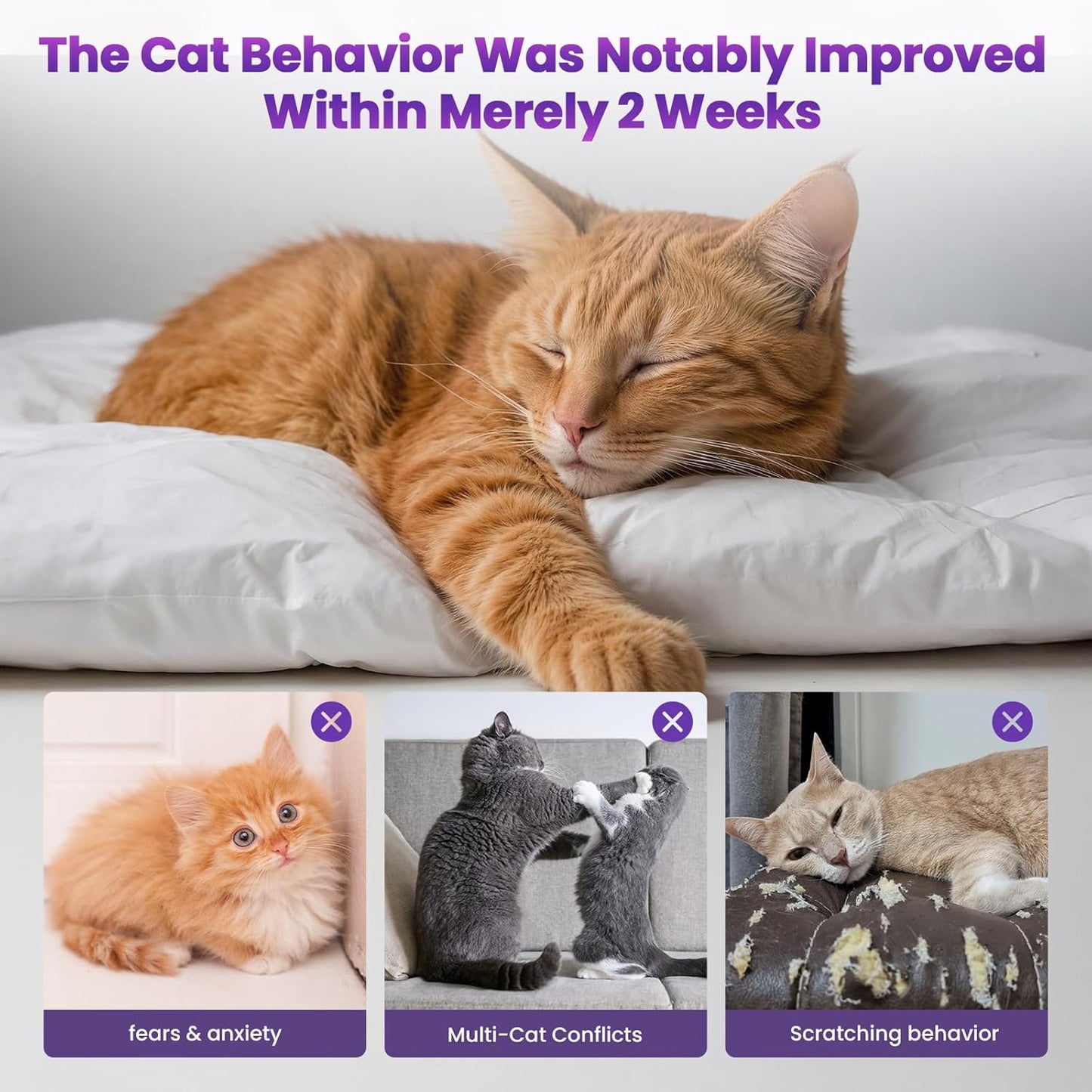 Cat Calming Diffuser, Effective Therapet MD Cat Diffuser, Relaxing Cat Calming, 2 Diffusers 2 Refills
