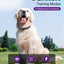 Bousnic Dog Shock Collar - 3300Ft Training Collar with Remote for 5-120lbs Small Medium Large Dogs Rechargeable Waterproof e Collar with Beep (1-8), Shake(1-16), Safe Shock(1-99) Modes (Lightpurple)