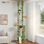 PAWZ Road Cactus Cat Tree Floor to Ceiling Tower with Adjustable Height(216-285cm), 7 Tiers Climbing Activity Center Cozy Hammocks, 5 Platforms and Scratching Posts for Indoor Cats, Green