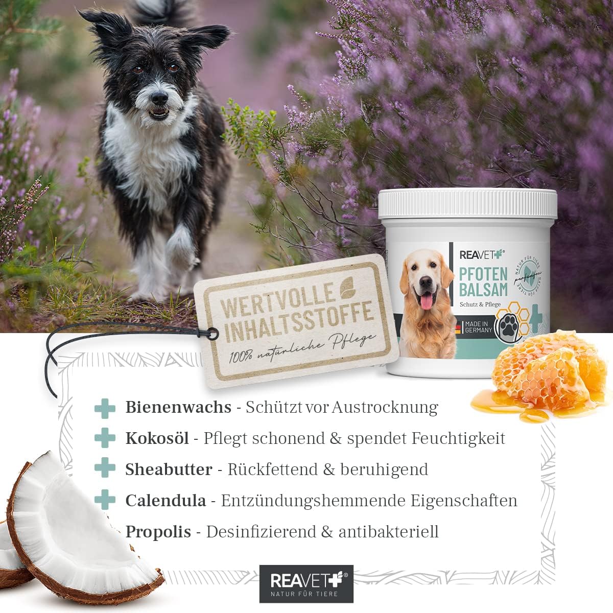 ReaVET Paw Balm Dog & Cat 120 ml - Natural Paw Care with Shea Butter, Coconut Oil & Beeswax