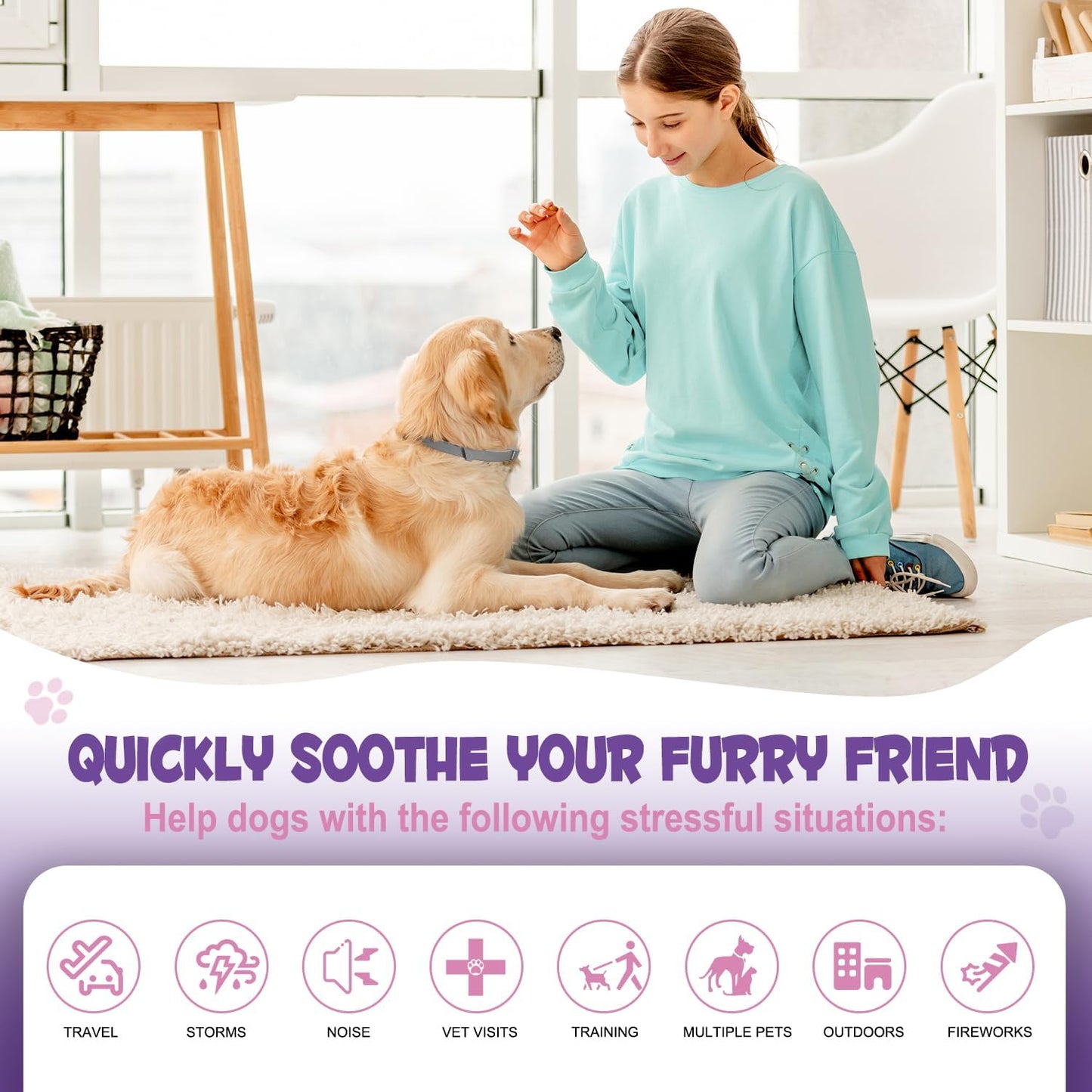 4 Pack Calming Collar for Dogs with Natural Pheromone | Dog Calming Collar Helps Reduce Unwanted Behavior | Stress Relief for Puppy & Adult Dogs, ‌Waterproof Calm & Relaxation Lasts 60 Days (Grey)