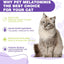 Cat Melatonin, Melatonin for Cats, Cat Tranquilizer to Anxiety Relief