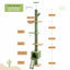 PAWZ Road Floor to Ceiling Cat Tree Tall Cat Tower, Adjustable Height (210-274cm), 5 Tiers Cat Climbing Tree with Cozy Cat Hammock and Condo, Cat Scratching Post for Indoor Cat, Green