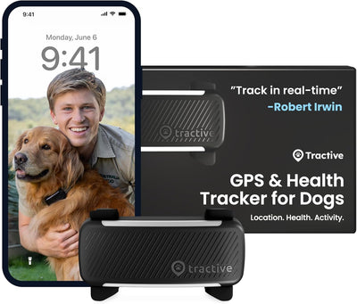 Tractive GPS Dog Tracker | 2025 Edition | Market Leader | Real-time Location Tracking | Escape Alerts | Activity Monitoring | Health Alerts | Bark Monitoring (Black)