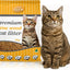 Feline First Pine Wood Kitty Litter, 5kg