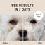 Eye Envy Dog Tear Stain Remover Starter Kit | Tear Stain Essentials in one kit at a 2-Step System | Lasts 30-45 Days