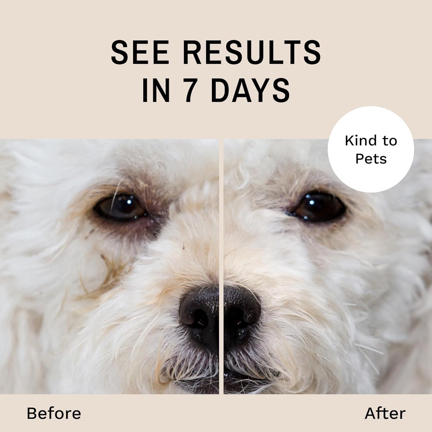 Eye Envy Dog Tear Stain Remover Starter Kit | Tear Stain Essentials in one kit at a 2-Step System | Lasts 30-45 Days