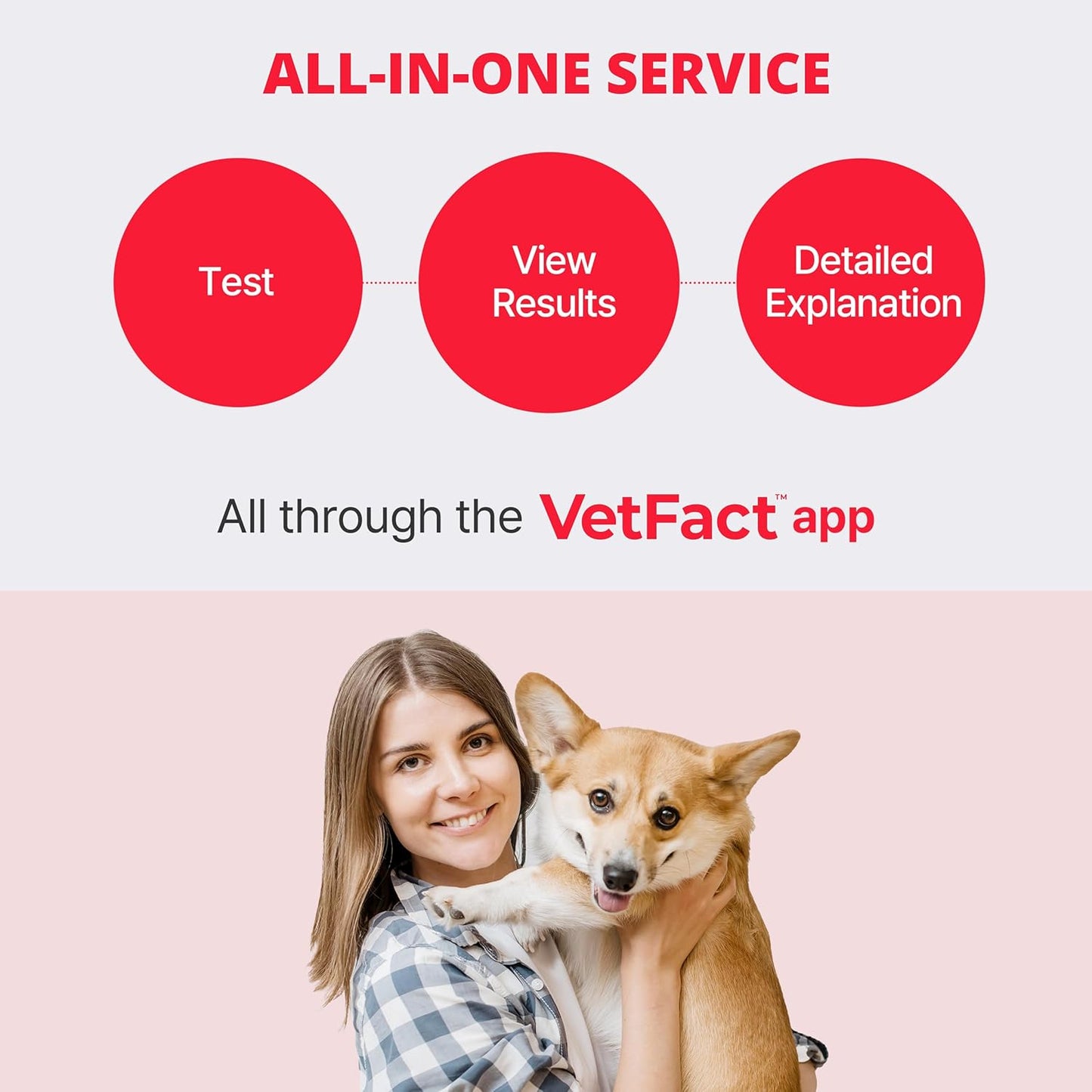 Urine Test Strips for Dogs & Cats, Renal Function Test at Home