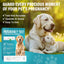 Dog Pregnancy Test, Pet Pregnancy Supplies at Home, 10-15 Mins Accurate and Fast Detection, 99.9% Accurate & Simple Operation