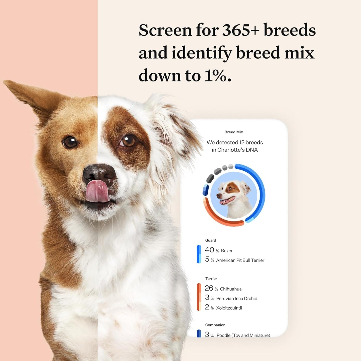 Wisdom Panel Premium: Most Comprehensive Dog DNA Test for 260+ Health Tests |
