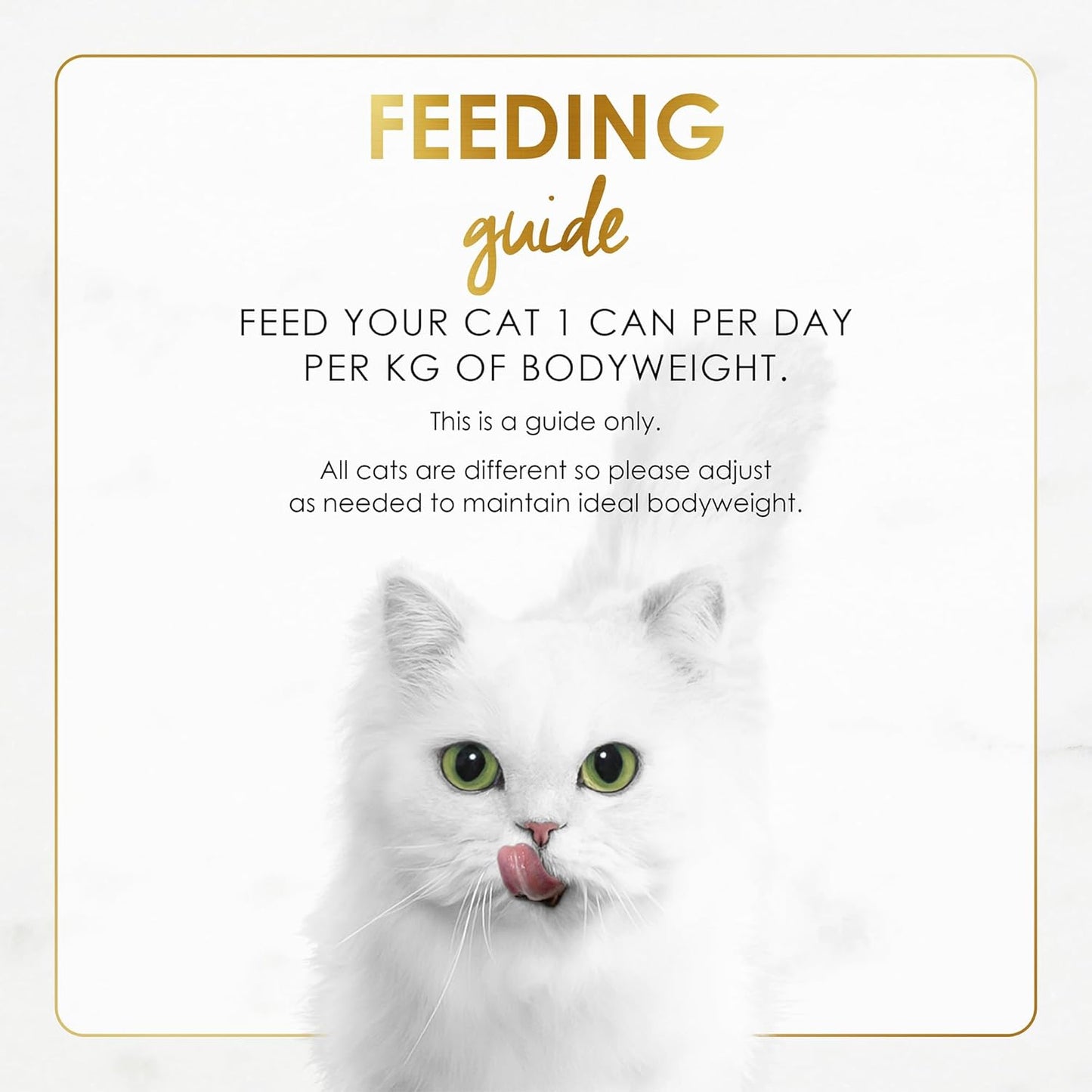 Fancy Feast Grilled Adult Wet Cat Food Grilled Tuna Feast in Gravy 24x85g