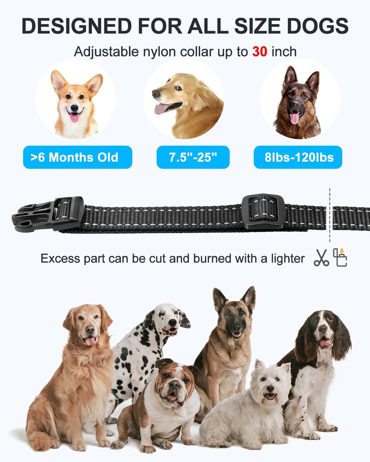 No Shock Dog Training Collar with Remote, Dog Vibration Collar with Controller Beep and Vibrate Only, Safe Lock Waterproof Rechargeable Vibrating Collars for Dogs(10-120 lbs)-No Prongs (Black)