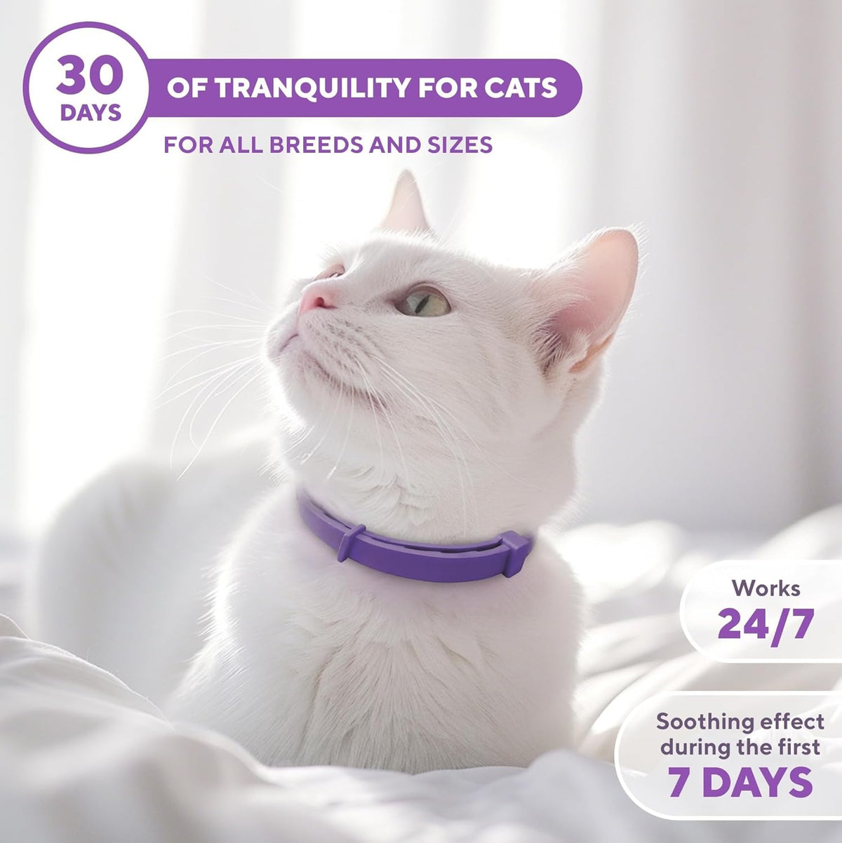 Cat Calming Collar & Pet Anti Anxiety Products - Feline Calm Pheromone ...