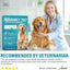 Dog Pregnancy Test, Pet Pregnancy Supplies at Home, 10-15 Mins Accurate and Fast Detection, 99.9% Accurate & Simple Operation
