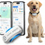 DBDD AI GPS Tracker for Dogs, Real Time Location and AI Health Care Management, Electronic Fence, Waterproof, iOS and Android Compatible (White)