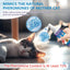 【𝐇𝐢𝐠𝐡𝐥𝐲 𝐄𝐟𝐟𝐞𝐜𝐭𝐢𝐯𝐞】Cat Calming Pheromone Spray for Stress & Anxiety ReliefDrug-Free & Vet Recommended – with F3 Facial Pheromone 6.76oz
